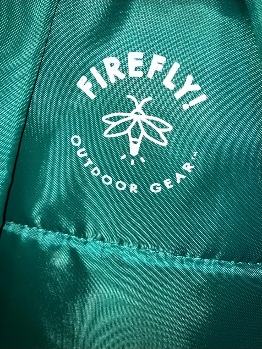 FIREFLY OUTDOOR GEAR CHIP THE DINOSAUR UNISEX GREEN 15L